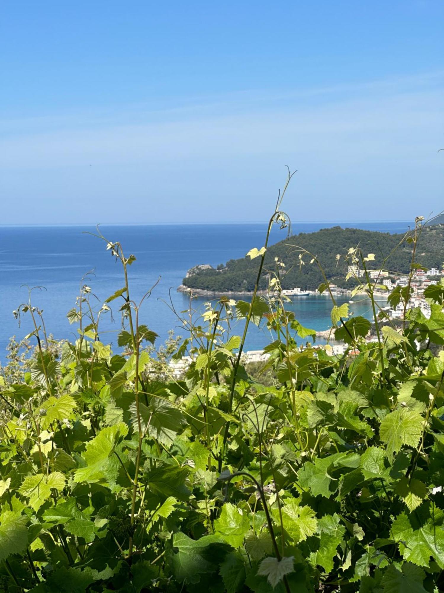 Elea Guesthouse Himare Luaran gambar